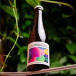 Captain Brew A Reconstrução Final dos Aparatos de Hipnose Reversa - 375mL [BA Wild Saison]